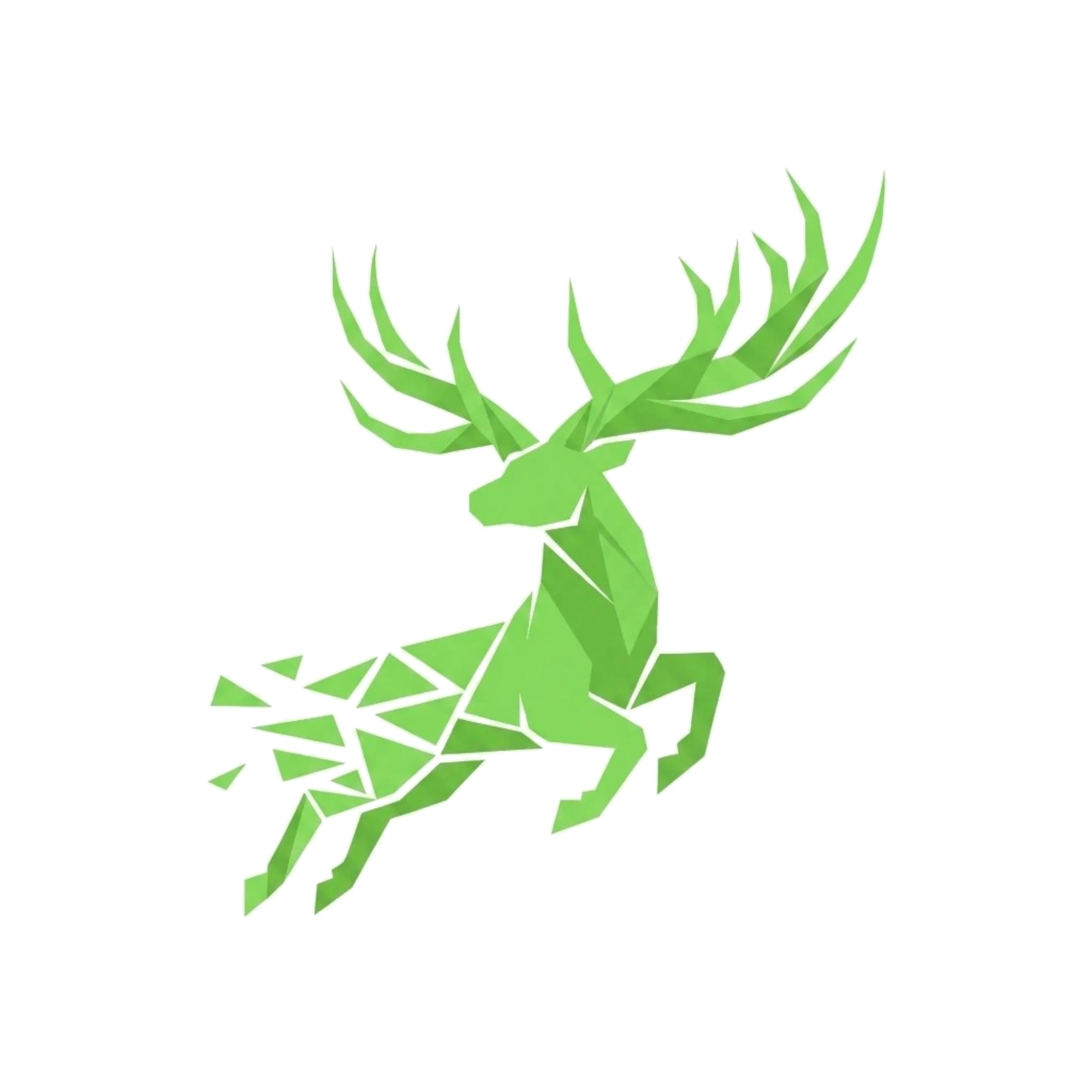DailyNatureDive logo